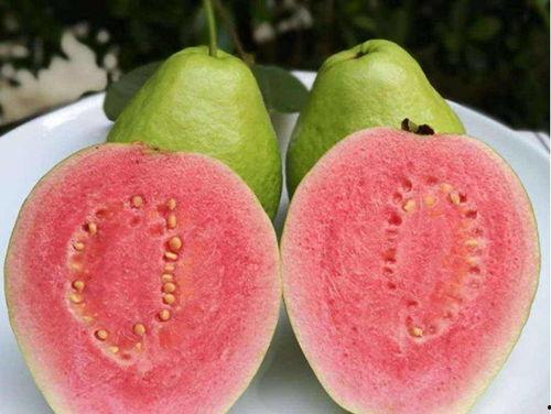 东北吃瓜不吃瓤,吃瓜不吐籽，品味独特风味