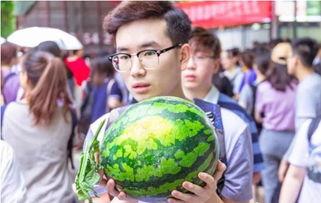 吃瓜大组长,网络红人的崛起与影响力