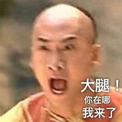 嬛嬛吃瓜表情
