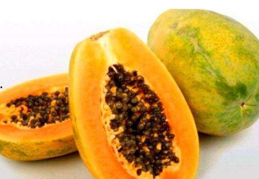 梦见烧瓜叶子吃,烧瓜叶子吃的寓意与启示