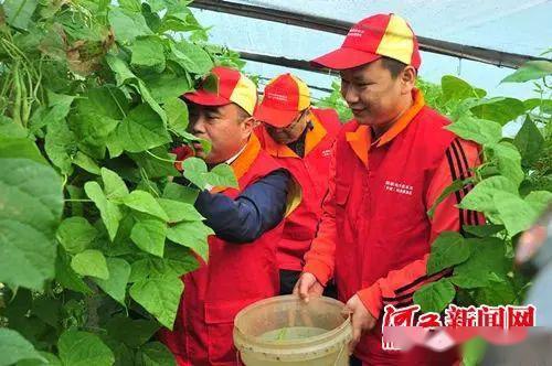 衡水李敏华吃瓜,揭秘网络舆论背后的真相