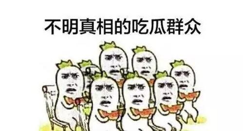吃瓜谣言,真相与误解的较量