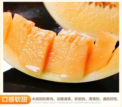 吃黄河脆瓜,甘甜可口，回味无穷的夏日美味