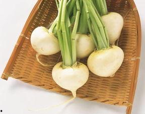 民间小调小黑吃瓜全集,民间小调中的趣味人生画卷