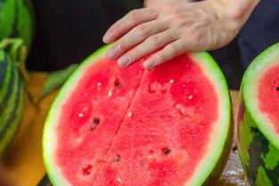 外卖体育学院吃瓜,吃瓜群众揭秘校园美食风云